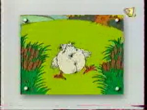 Пуськки бятые