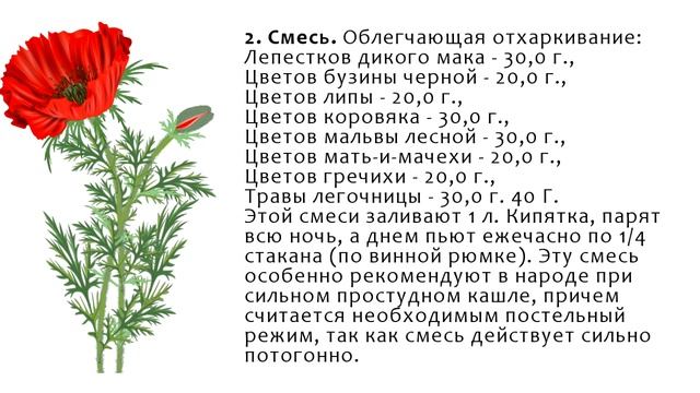 Красный мак или Мак самосейка