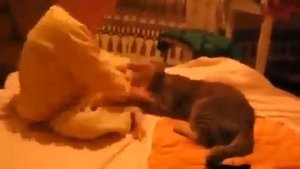 Ребёнок мучает кота, Кот наказывает ребёнка!