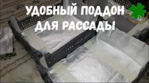 ЛАЙФХАК для рассады своими руками – совсем бесплатно