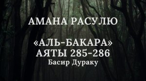 Амана Расулю "Сура аль-Бакара" Аяты 285-286 | Красивое Чтение Корана | Басир Дураку