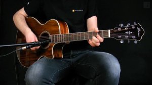 Ibanez AE 245 NT