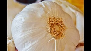 чеснок  и мужская сила. польза чеснока для потенции