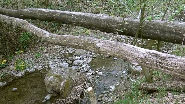 Нежнейший звук ручейка. Для релакса, отдыха или сна