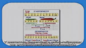 Инструкция для начинающих цветоводов: как обрезать розы после цветения летом, чтобы они снова зацв.