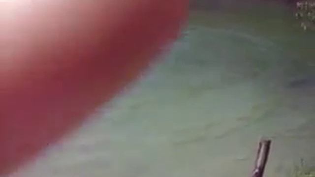 У Али на даче Аля и Ева стоят на руках смотреть онлайн