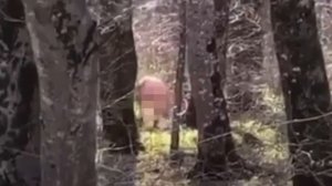 Эгсбициониста заметили в парке Победы