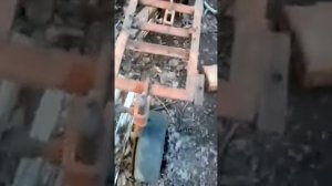 Раритетный мотоблок одноколесный