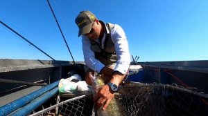 Трофейный судак летом на поролон. Рыбалка на спиннинг