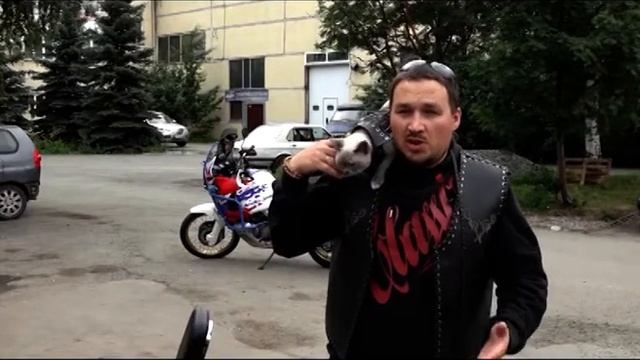 КОШКА-БАЙКЕР