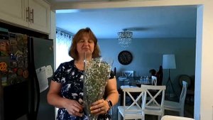 США ?? Бесплатная еда в Америке / Как получить продукты для семьи бесплатно / Американский Фуд Банк