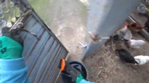 РУССКИЕ ХОХЛАТЫЕ В ПРИОРИТЕТЕ? НАВЕЛИ ПРИЧЕСКУ?ПОСЫЛКА ИЗ СИБИРИ???? WE LIVE IN THE KUBAN ????