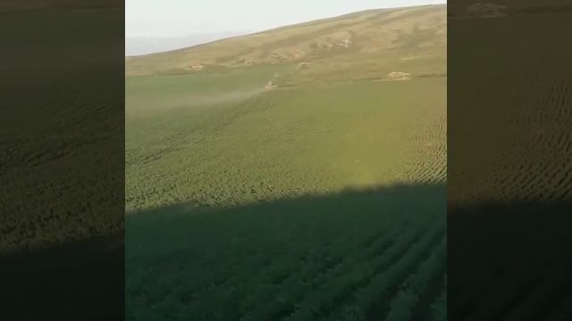 Мир профессии Агроном