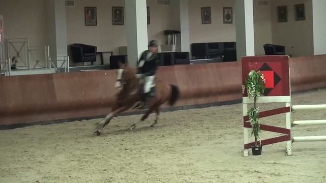 Ресим. Конкур 110см. Ахалтекинец смотреть онлайн