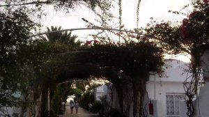 Тунис Сусс отель эль муради клуб эль кантауи, сентябрь 2019г