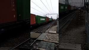 Товарный поезд проезжает мимо станции #понтонный #товарняк #поезд #российскиепоезда #переезд