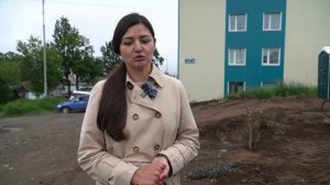 Алла Мамеева