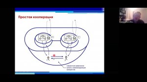 Верхоглазенко В. Введение в управленческую онтологию.