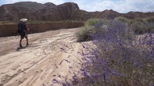 Дневка на Иссык-Куль. Каньон Ак-Сай, Киргизия