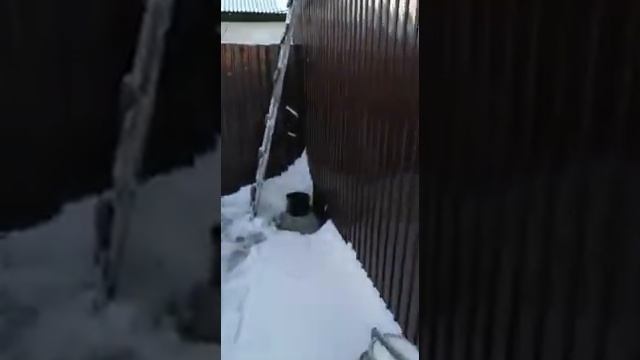 Замена котла магнум 30кВт на наш СлавКотёл 15кВт.  Отопление двух частных домов. #котелотопления