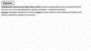 Анатомия матки: строение матки, топография матки, связки матки, анатомия женская половая система