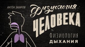 Почему гориллы не поют? Физиология дыхания. Физиология человека — урок 18