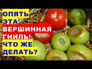 Опять эта вершинная гниль! Что делать?