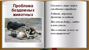 обучающее видео о том как можно относиться к животным а как нельзя