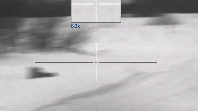 охота на лису 7 смотреть онлайн