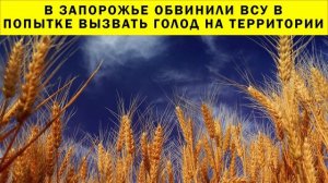 СРОЧНО!!! В Запорожье обвинили ВСУ в попытке вызвать голод на территории