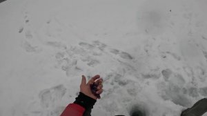 Первый раз взял в руки зимнюю блесну. Первые соревнования по зимней блесне!!!