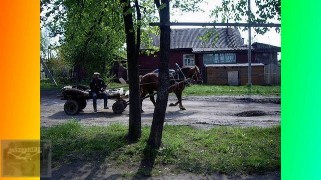 Ютуб шарья. Ветерок Шарья ВК видео.