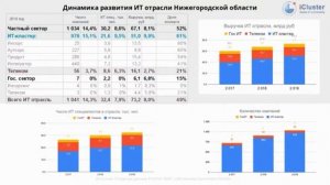 2. М. Мухарьямов — IT отрасль Нижегородской области в 2020 году