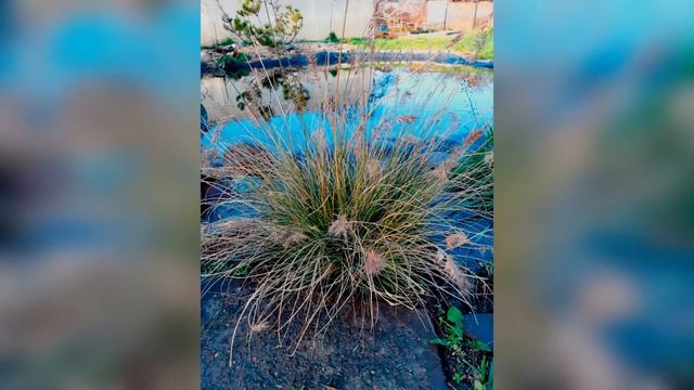 СВОЙ КРАСИВЫЙ ПРУД НА ДАЧЕ ЭТО РЕАЛЬНО (своими руками) смотреть онлайн