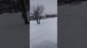 Октавия А5 полный привод