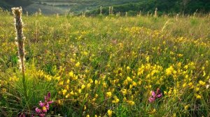 Парень помог миллионеру просто так, но то как тот отблагодарил его, он будет помнить еще долго…