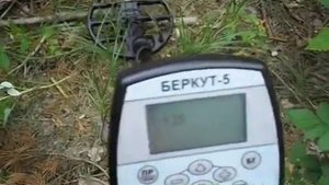 Поиск металлоискателем летом 2013 года