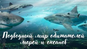 Подводный мир обитателей морей и океанов. Красивая музыка. Музыка для души