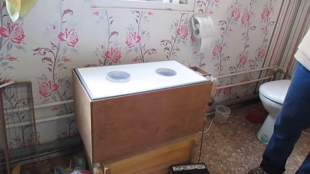 Вылупление цыплят / Москвичка в деревне