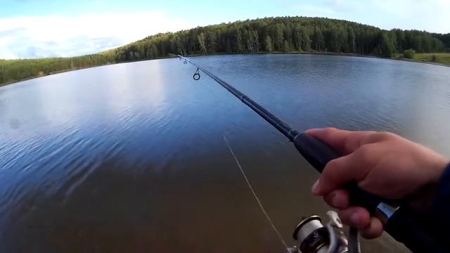 Там реально есть рыба???!!!Озеро на базе отдыха!!!Рыбалка на окуня,ловля на отводной!!!15.08.2017 смотреть онлайн