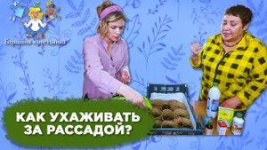 Как ухаживать за рассадой