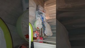 Бивер йорк Роды вот вот начнутся.