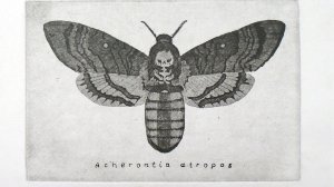 Демонстрация рельефа оттиска с офорта "Бражник"