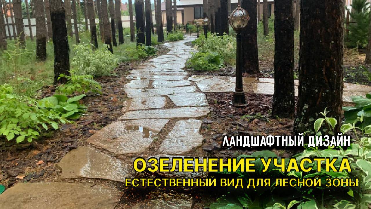 Озеленение участка в лесной зоне: добавляем естественности