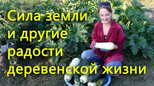 Собрали первый урожай и приобрели птицу по деревенскому тарифу