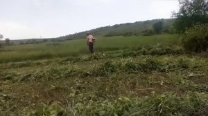 Косим на сено, травы после дождей.!