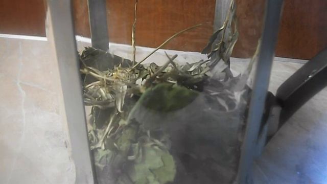 БЮДЖЕТНОЕ МЕНЮ смотреть онлайн