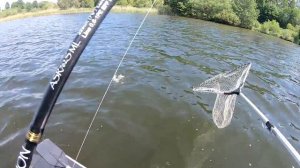 Не успеваю ДОСТАВАТЬ ЩУК!!!  Все щуки АТАКУЮТ этот тейл спиннер  А на другое НЕ КЛЮЁТ!!!