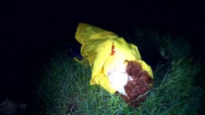 ТОТ САМЫЙ МОМЕНТ С ТГ Zebra Successful#клоун#диман#саня#игра#желтый