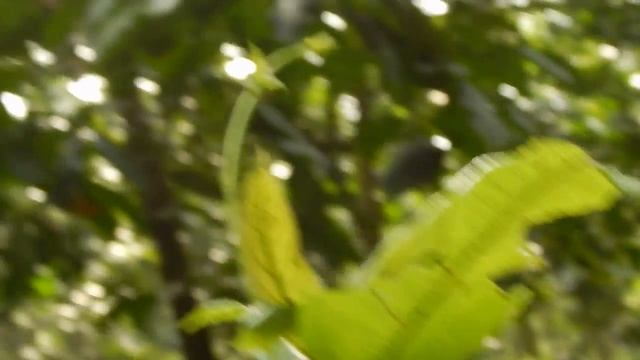 Nikon Coolpix l830 Camera review смотреть онлайн